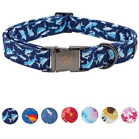 cute dog collars for males.